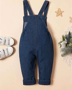 Embroidery Denim Overall