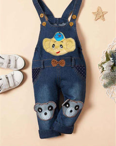 Embroidery Denim Overall