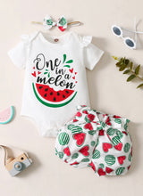 Load image into Gallery viewer, Watermelon 3pc Set
